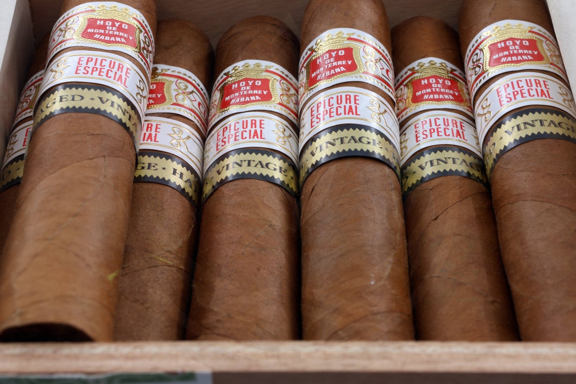 HOYO DE MONTERREY EPICURE ESPECIAL  AGED 2018