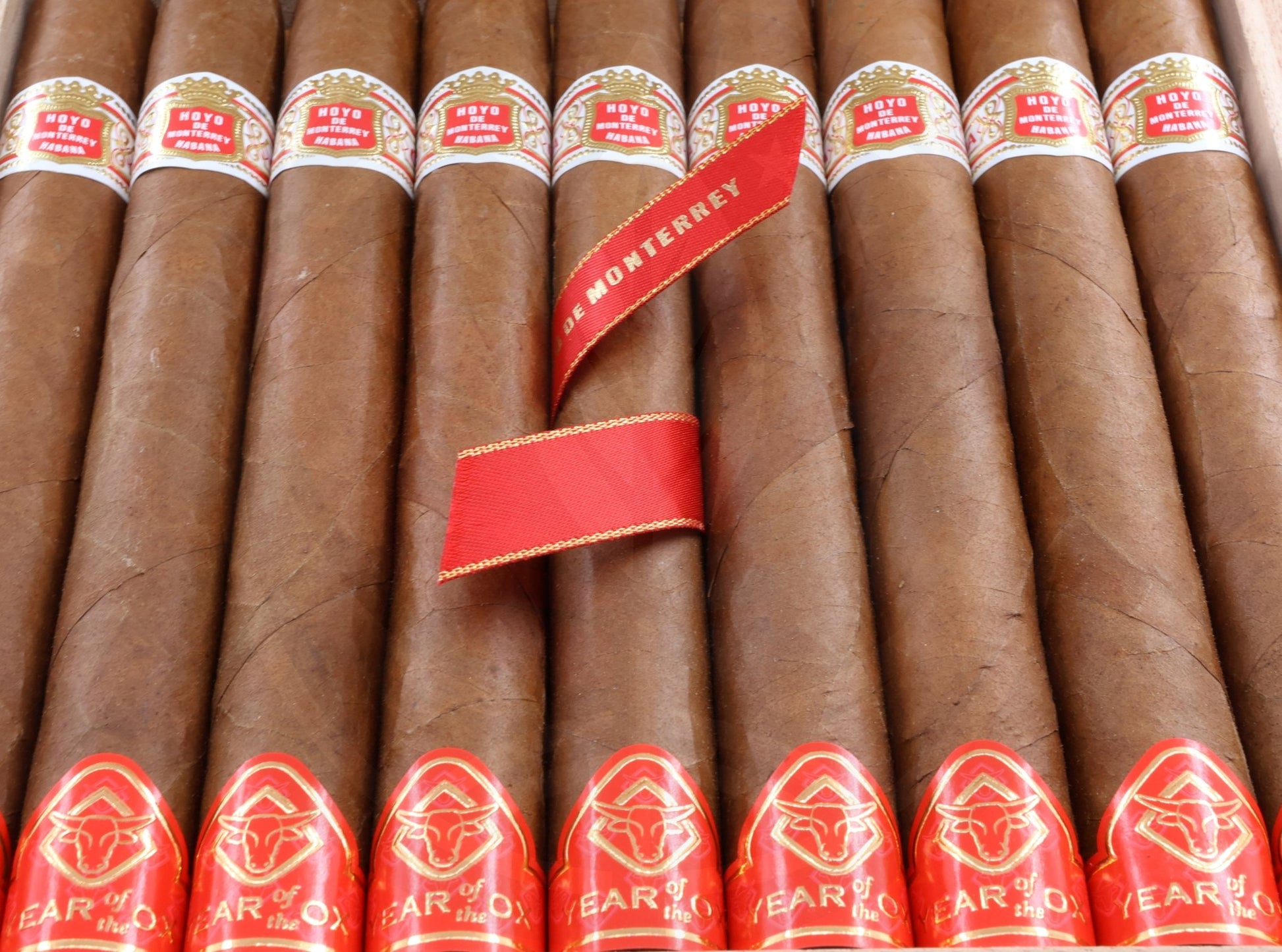 HOYO DE MONTERREY PRIMAVERAS  YEAR OF THE OX 2020 CHINESE YEAR SERIES