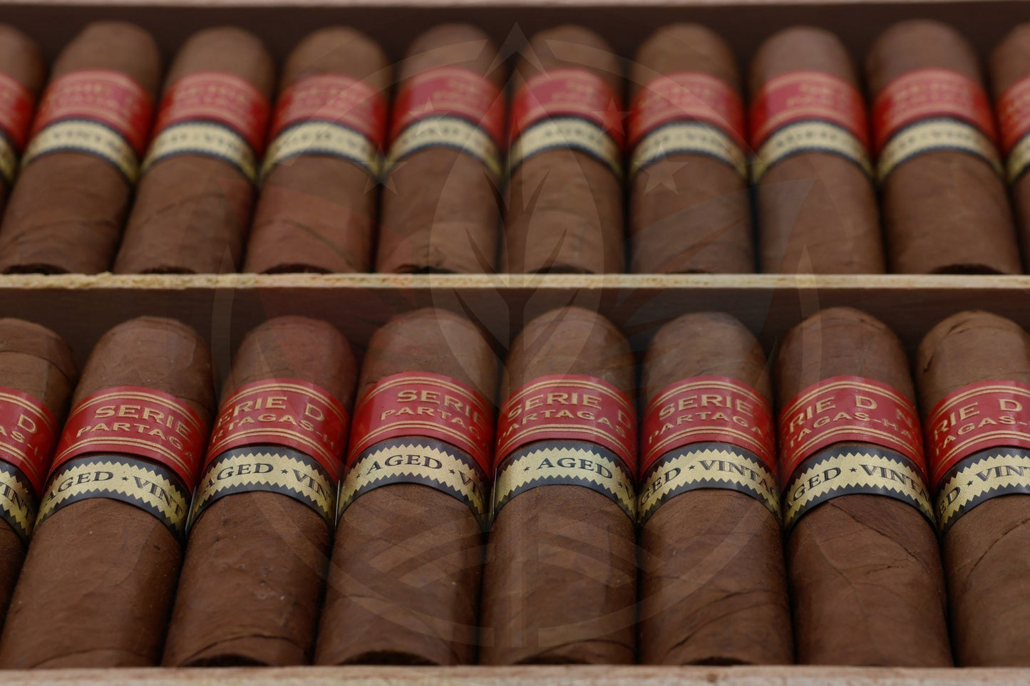 PARTAGAS SERIE D N 6  AGED 2019