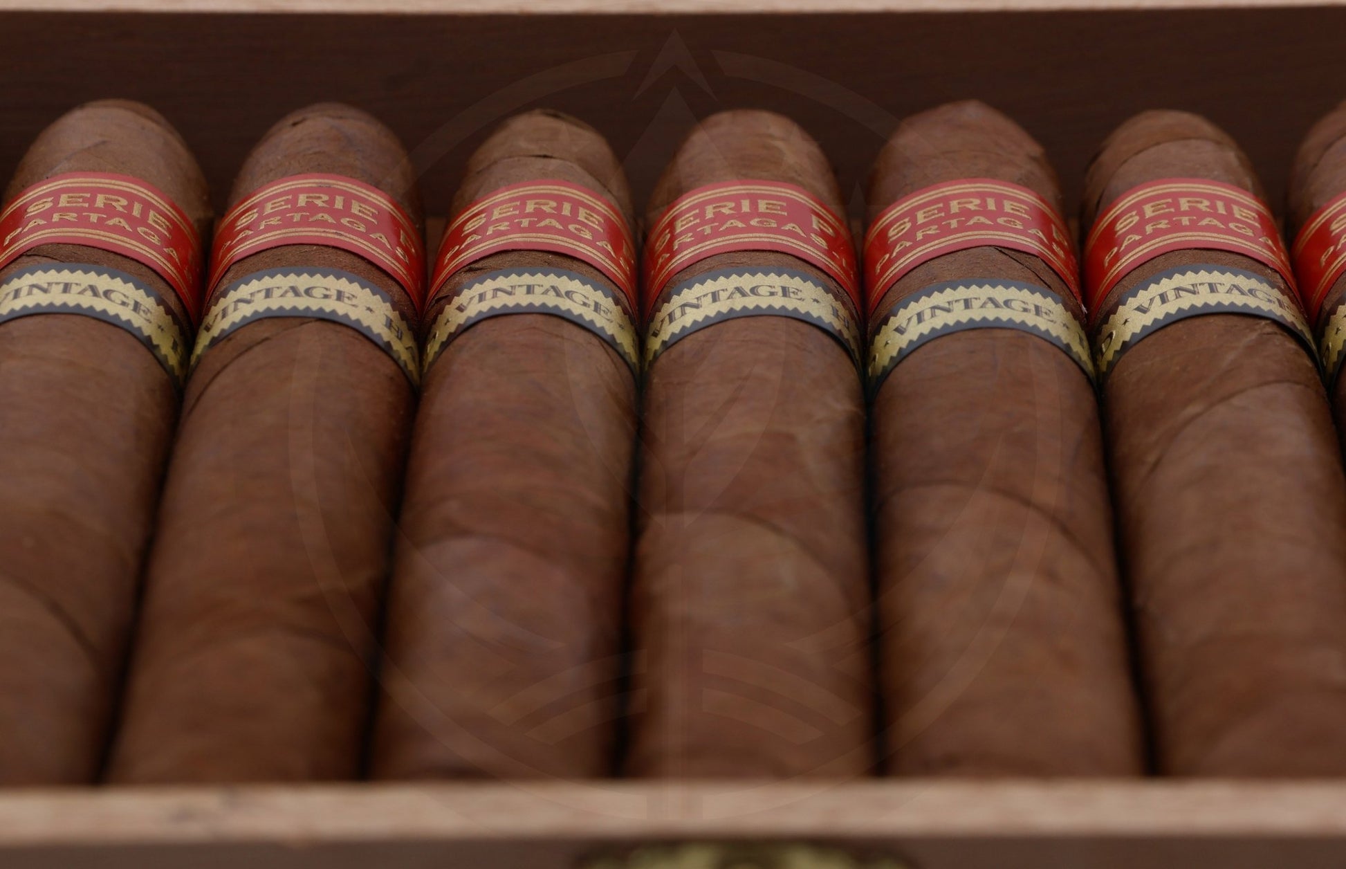 PARTAGAS SERIE P N 2  AGED 2018