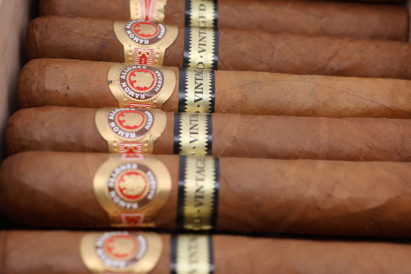 RAMON ALLONES SPECIALLY SELECTED CABINET 50 AGED 2017